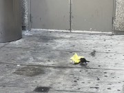 TikTok MiamiWorld1 — How Not To Litter ( Anti-Littering Commercial)