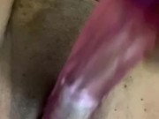 Toto bonito jugando
