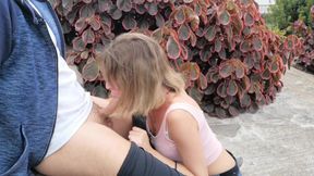 Public garden blowjob nearly exposed