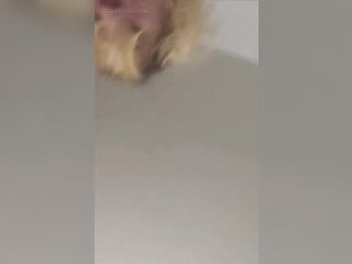 Say Howdy to the Camera, Tell 'em What I'm Doing to Your Twat