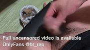 ちんちんのお毛々、繕い Grooming the Hair on My Penis