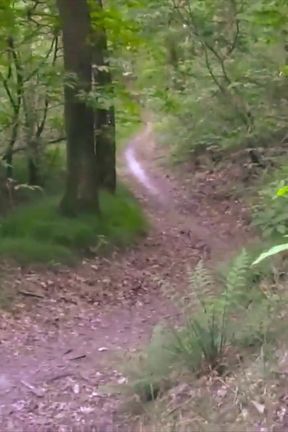 Nice and Long Cumshot, Shirtless, in a Public Forest