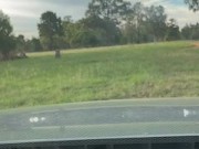 Public park crossdressing