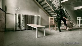 Dominatrix Mistress April - used and punished - Cell45