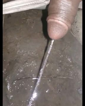 Peeing time.  I made peeing video.