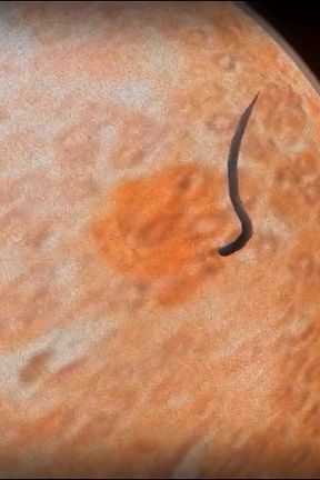 Hard Fuck in the Dungeon (futa Shemale)