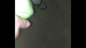 VID 20170805 mostrandola en el parque1