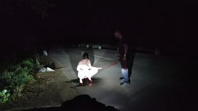 Old Pig Perverse Pissing Summer Sex Outdoor