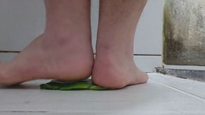 100kg 220lbs trampling pepper barefoot
