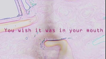 The Sissy Cock Worship Algorithm XVIDEOS by Goddess Lana