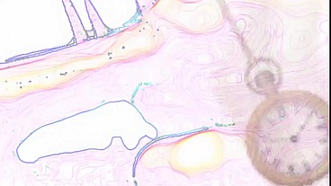 The Sissy Cock Worship Algorithm XVIDEOS by Goddess Lana