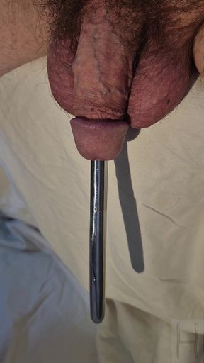 Urethral sound hanging and falling out