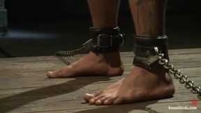 The Legend, the Present and the Future