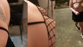 une bonne chienne qui aime se montrer