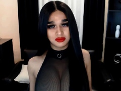 Lovely Shemale Rubs Her Dick Hard