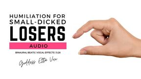 Humiliation for Small-Dicked Losers | Audio Only