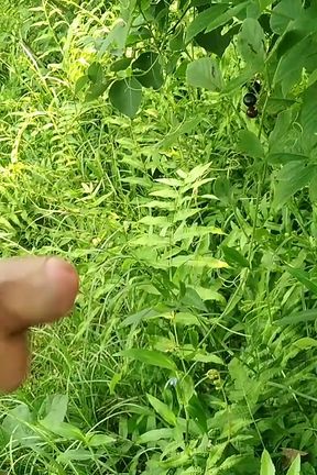 Big Cock Jerking in Beautiful Garden