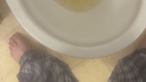 Very long pee at home!