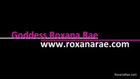 November Tiny Dick Tax 2023