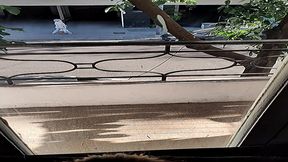 le doy una limpieza de polla en p&uacute;blico desde el balc&oacute;n