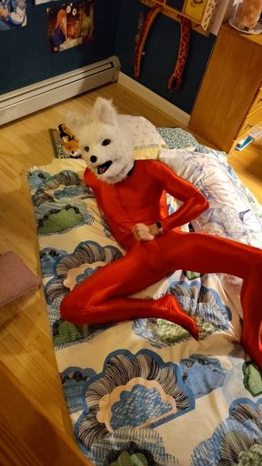 Fox Furry Playing In Red Amoresy Spandex Suit