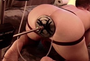 Cum Lube Dildo and Pig Hole