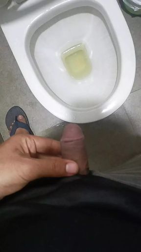 Desi gay caught in public toilet