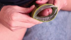 jerking off with aloe