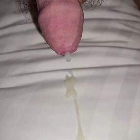 Handsfree Cum In Underwear &amp; On The Bed