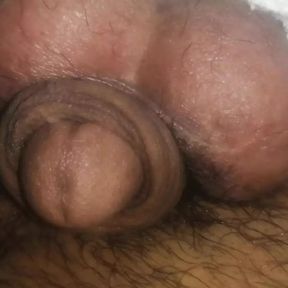 Fucking balls my desi big cock show balls