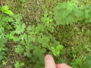 Peeing compilation with huge cum shot