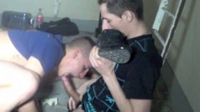 sniff and eat the dick of kamel