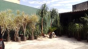 Diogobrasileiro - update #2 - VID 20231024 084410 - Oct 25, 2023