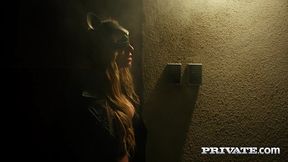 micky muffin, a wild cat roams