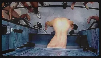 Glory Hole Debut: Small-Body Model Takes Over the Club