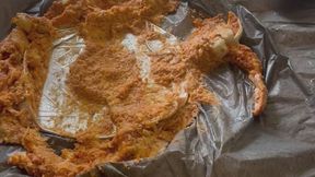Lasagna and sports socks messy fun
