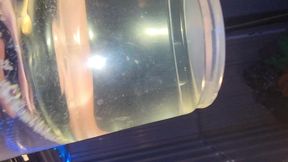 pissing in a cup cuz i can t hold it - may 30, 2025
