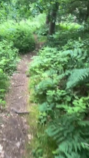 Thrilling moment from &quot;Walking bare foot and naked from car for an in forest for a wank&quot;