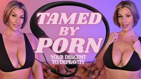 Tamed By PORN