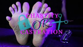 Chastity Or Castration - HD