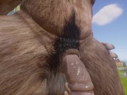Wild Life Gay Furry Islands (POV)