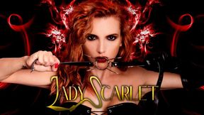 LADY SCARLET - 8 GIRLS - GET ON YOUR KNEES AND CLEAN UP! hd - 
8 RAGAZZE - IN GINOCCHIO E PULISCI!