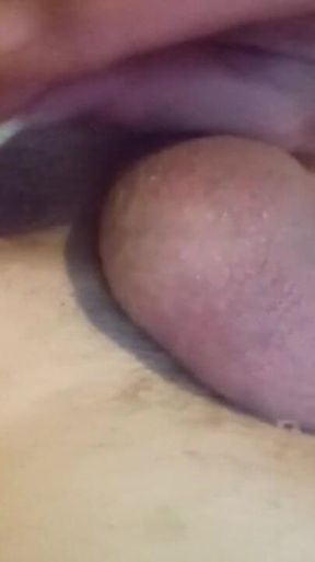 String Cheese and Bootypuckerhole 2