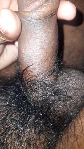 Hot Boy Desi Boy Desi Bhabi