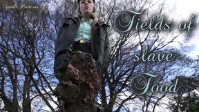 Fields of slave Food