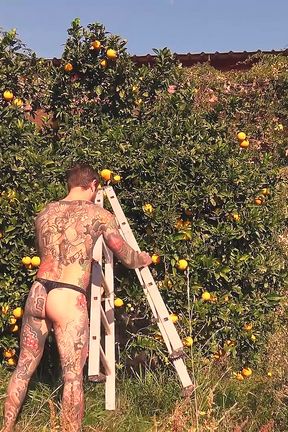 Orange Juice