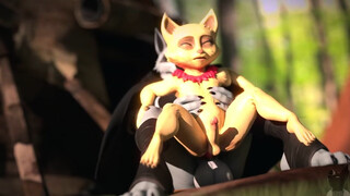 Teemo rides dick