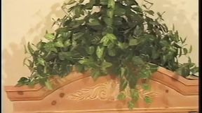 Black babe serves dual cock🍆 craving dudes