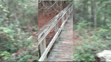 DSC17-6) Petite MILF Babe Monica, Frolics Naked in the Forest, Blowjob, Fucked Doggy Style, Creampie