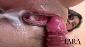 Pussy Creampie